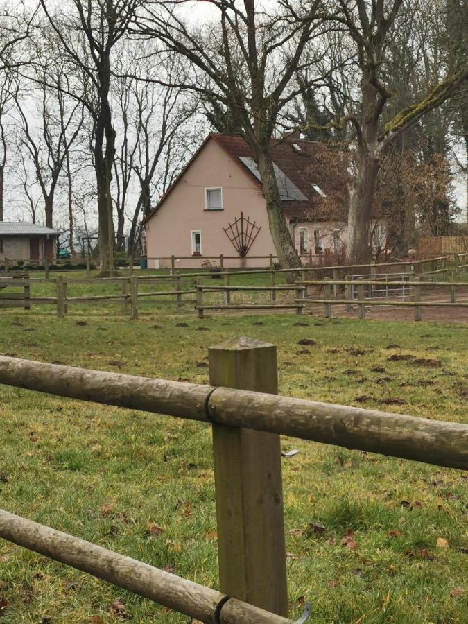 Ferienwohnung Am Stadtrand Garz Ruegen Exterior foto